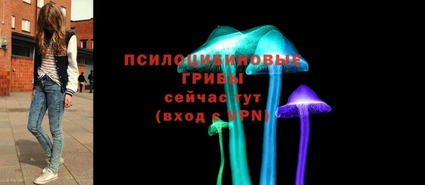 соль ск Нягань