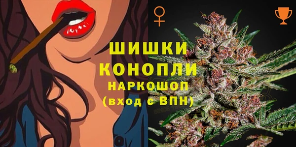 ECSTASY Няндома