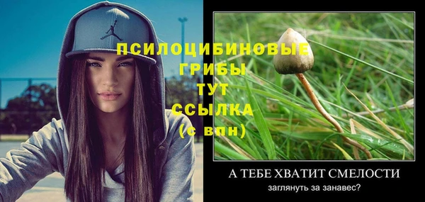 каннабис Осташков