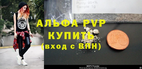 ПСИЛОЦИБИНОВЫЕ ГРИБЫ Валдай