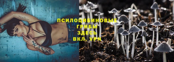 твердый Новодвинск