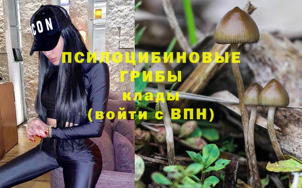 соль ск Нягань
