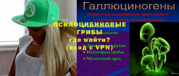 ECSTASY Няндома